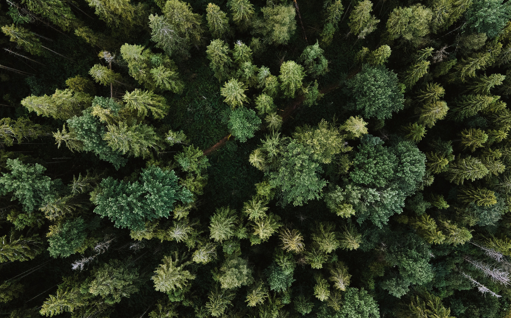 6 Trends That Will Shape Sustainability in 2023 hình ảnh 16
